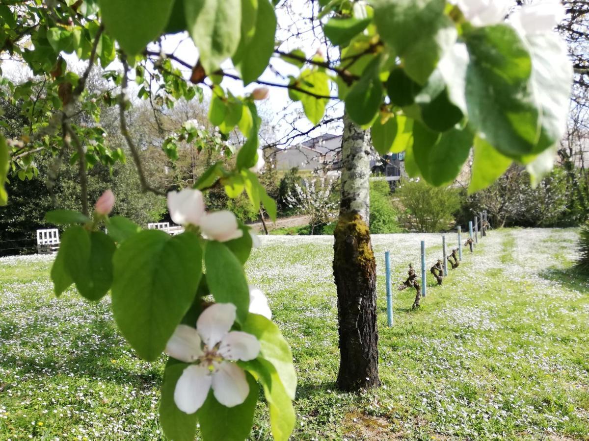 La Verrerie Gaillac Esterno foto